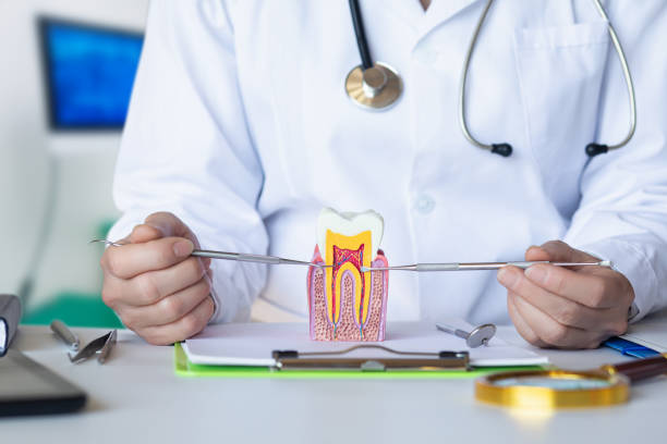 Best Weekend Emergency Dentist in East Rutherford, NJ